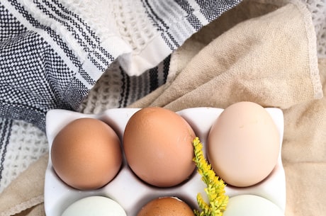 如何煮鸡蛋(怎样煮出完美的鸡蛋？)