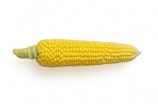 老玉米的妙用：吃不完的老玉米竟能变出新花样